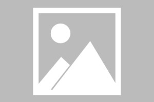 爱游戏登录入口-东契奇即将开启常规赛调后续来了的简单介绍
