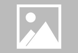 Scout在法国队比赛中关键助攻，大胜引发热议！