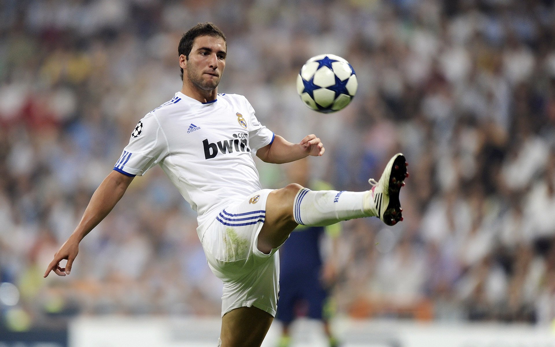 表现优异首场状态出色，中国队观众沸腾！，Rookie重返赛场引发球迷热议