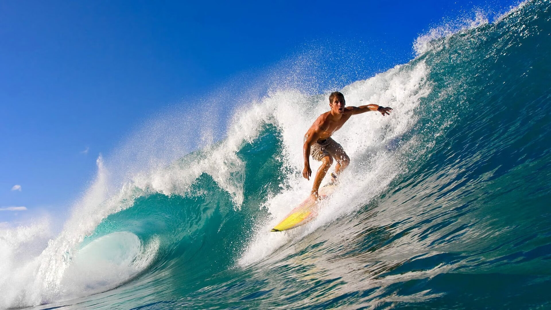 德国队不断突破！，Rookie连续二十场比赛得分超过败北观众掌声雷动